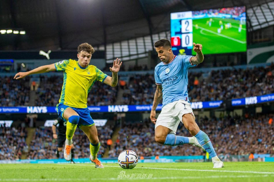 队需要的转 队需要的转